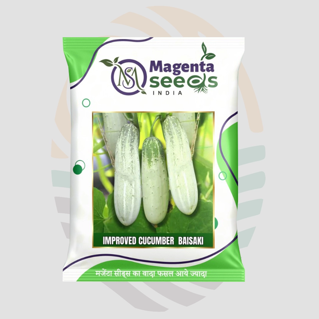 Baisaki Improved Cucumber Seeds