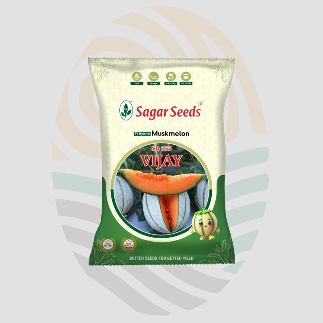 Sagar Vijay F1 Muskmelon Seeds