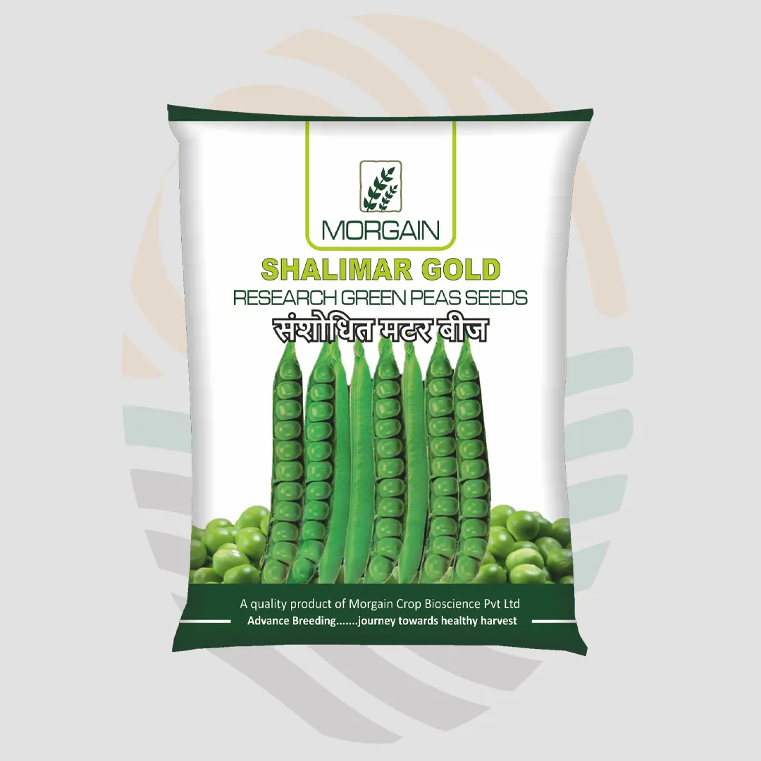 Shalimar (Gold) Peas Imported Variety