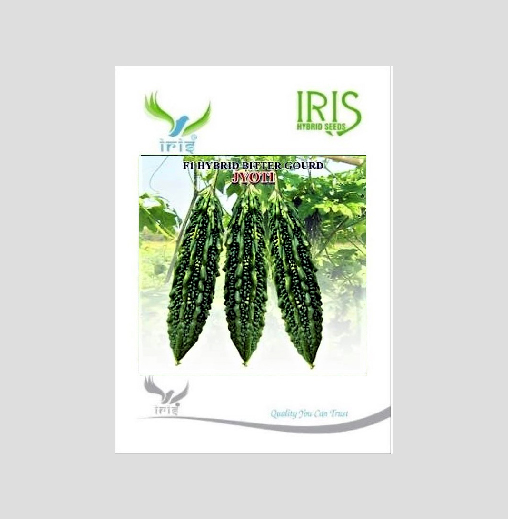 Iris F1 Hybrid Bitter Gourd Jyoti Seeds