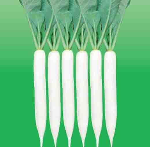 Radha Krishna Radish Palak Patta Seeds