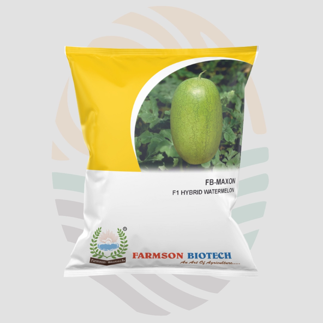 FB-Maxon F1 Hybrid Watermelon Seeds