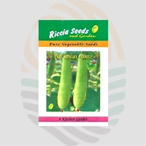 Bottlegourd Samrat Seeds