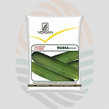 Rubia F1 Hybrid Cucumber Seeds