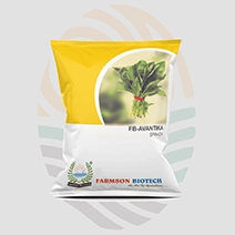 FB-Avantika Spinach Seeds
