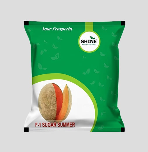 Sugar Summer Muskmelon Seeds