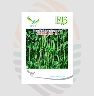 Iris F1 Hybrid SUPER LONG-77  Yard Long Beans Seeds