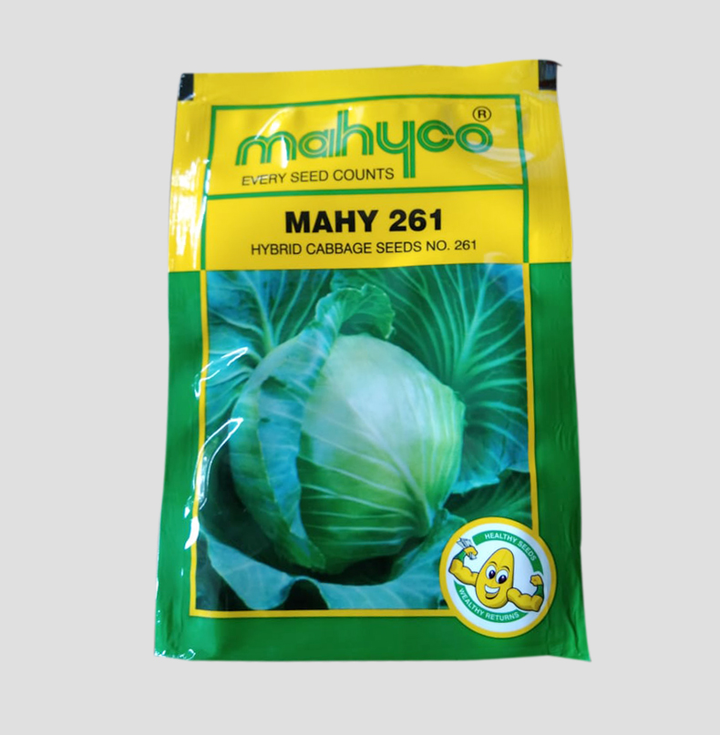 MAHY 261 HYBRID CABBAGE SEEDS