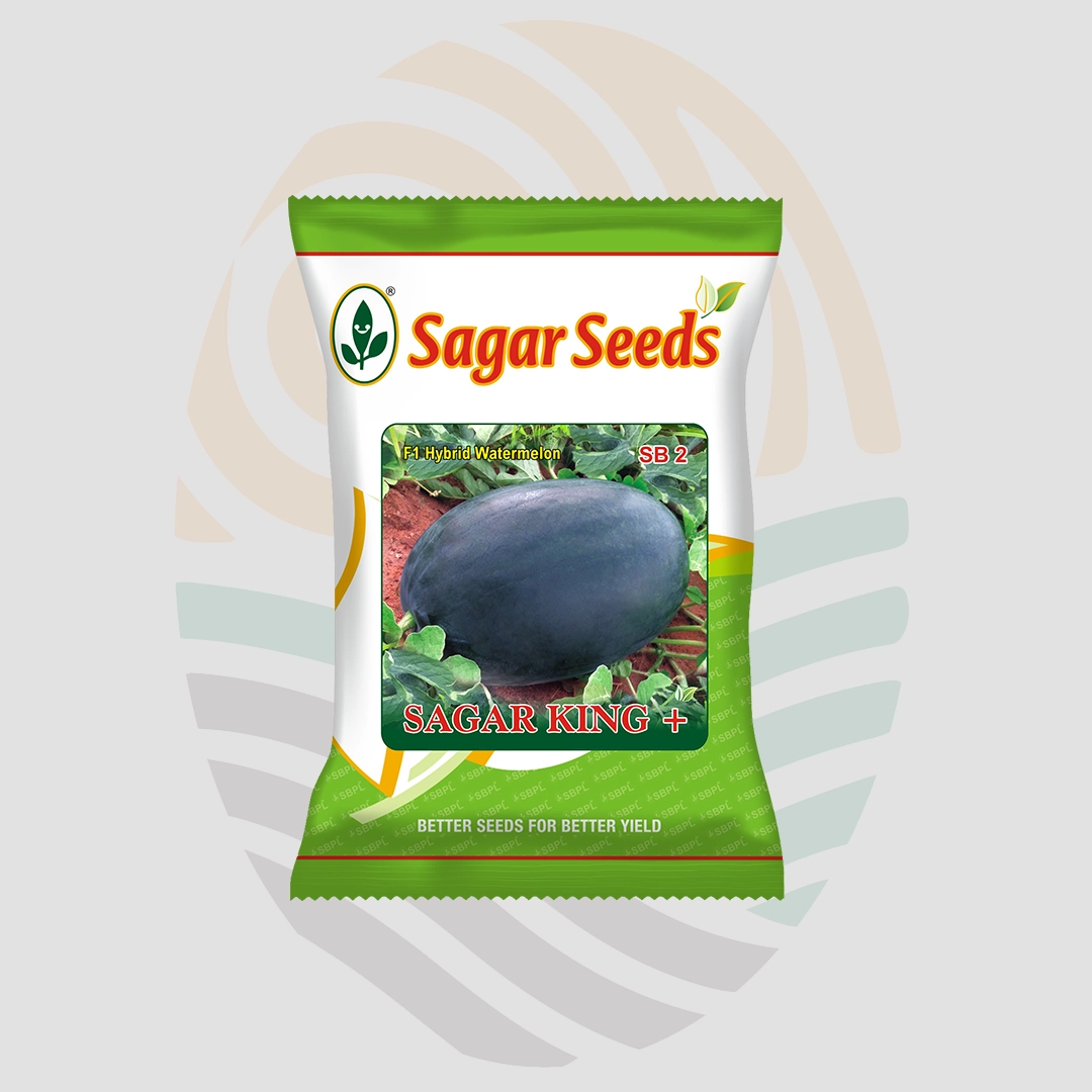 Sagar King plus F1 Watermelon Seeds