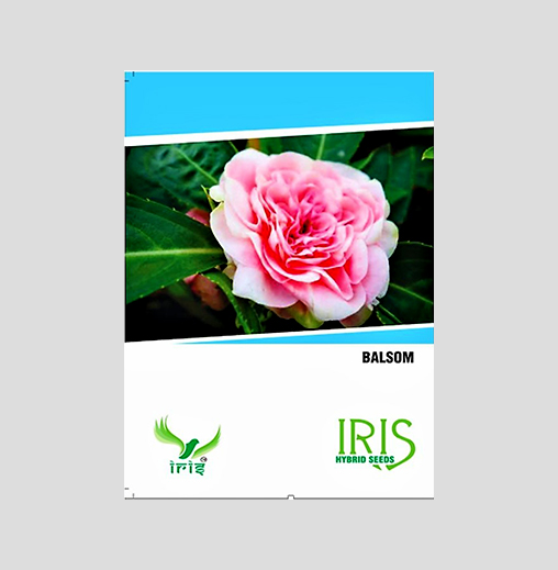 Balsam F1 Hybrid Seeds