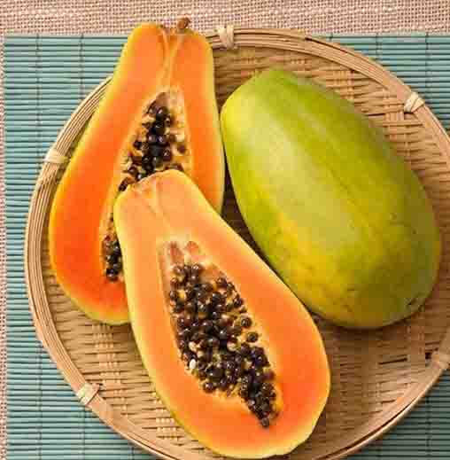 Radha Krishna Papaya Seeds