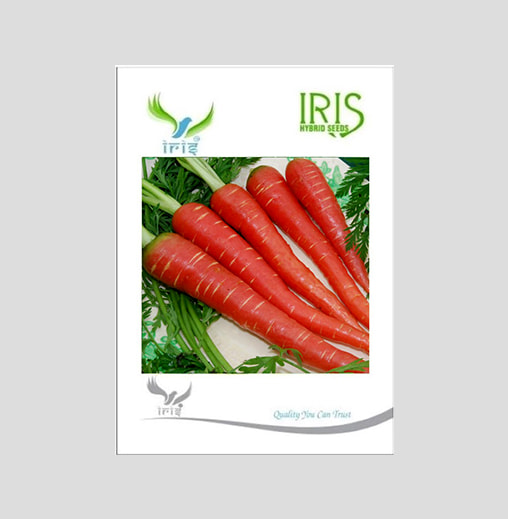 Iris Imported Carrot Seeds