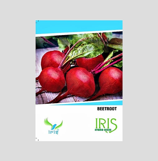 Iris Imported Beet Root Seeds