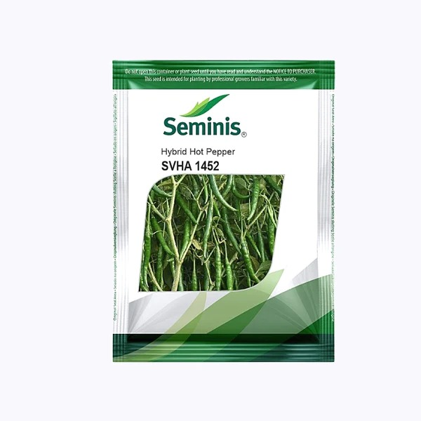 Seminis SVHA1452 Chilli Seeds