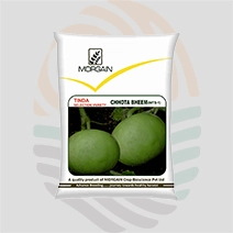 Chhota Bheem Research Tinda Seeds