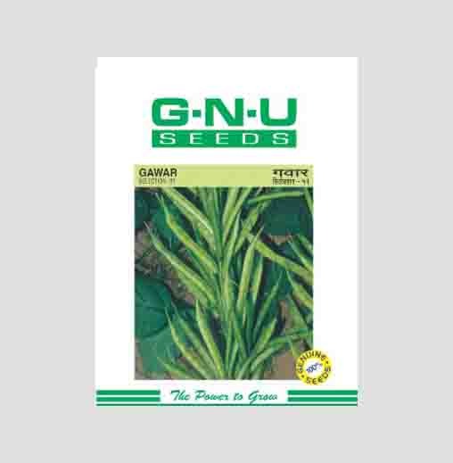 Selection - 51 Gawar Seeds