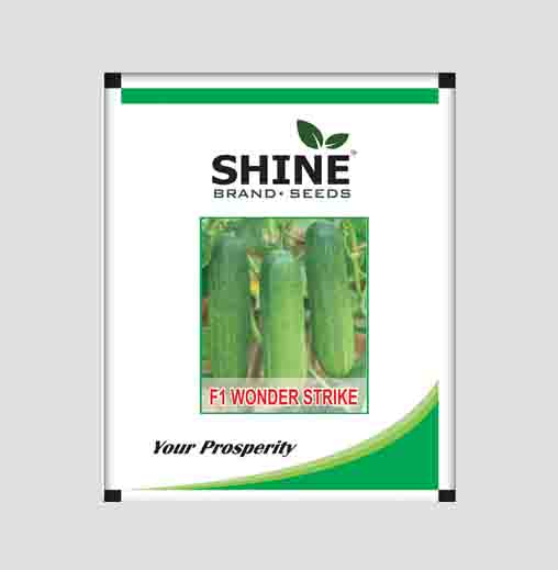 Wonder Strike F1 Hybrid Cucumber Seeds