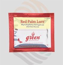 Red Palm Lure (Rhynchophorus  Ferrugineus)