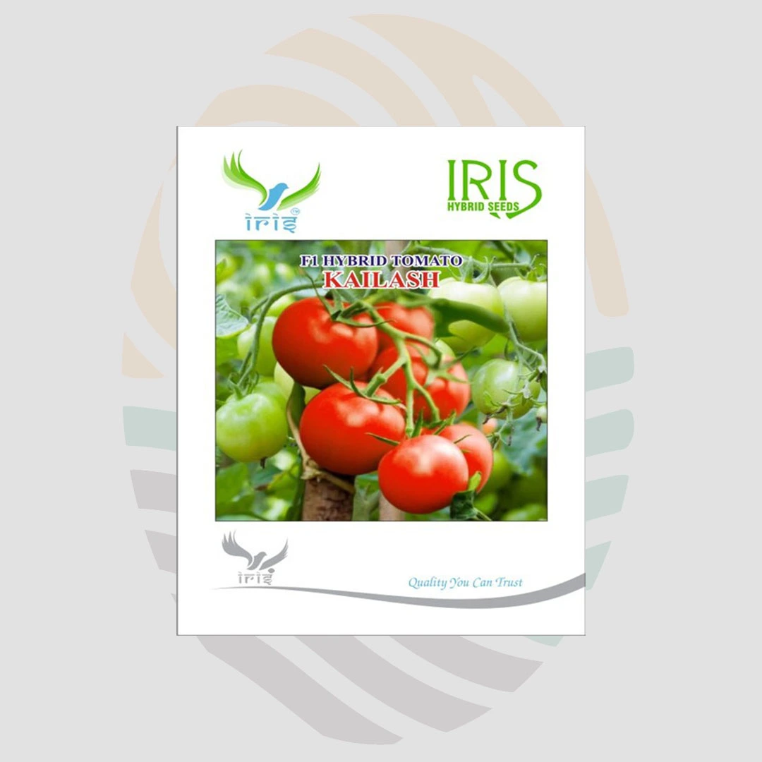 Kailash F1 Hybrid Tomato Seeds
