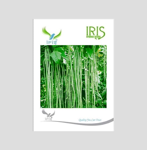 Iris F1 Hybrid Yard Long Beans Seeds
