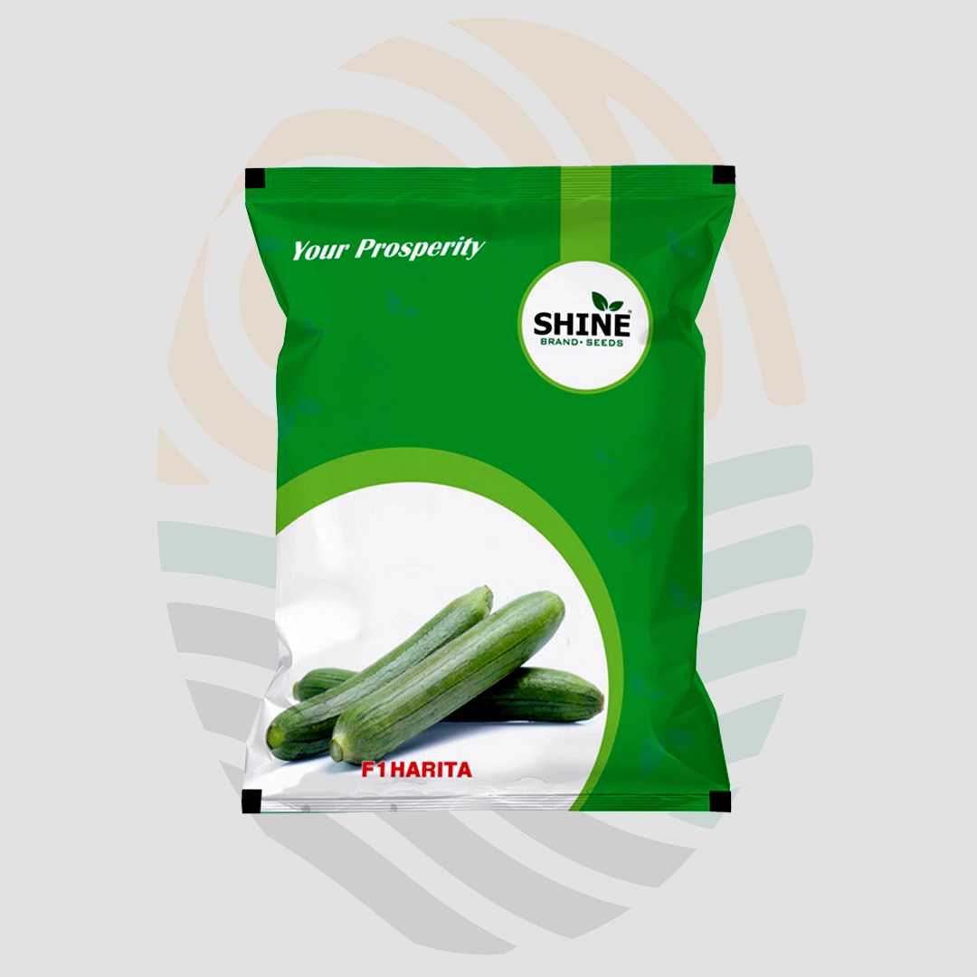 Harita F1 Hybrid Spong Gourd Seeds