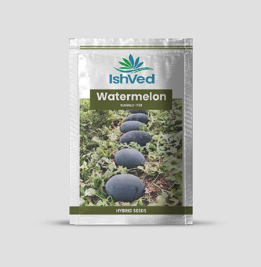 IVWMH - 751 Watermelon Seeds
