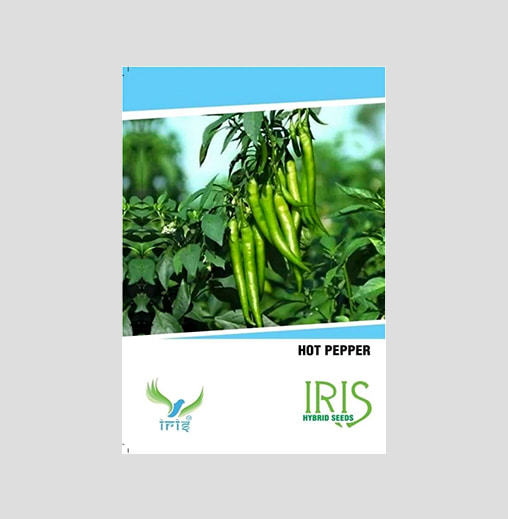 Iris F1 Hybrid Hot Pepper Seeds