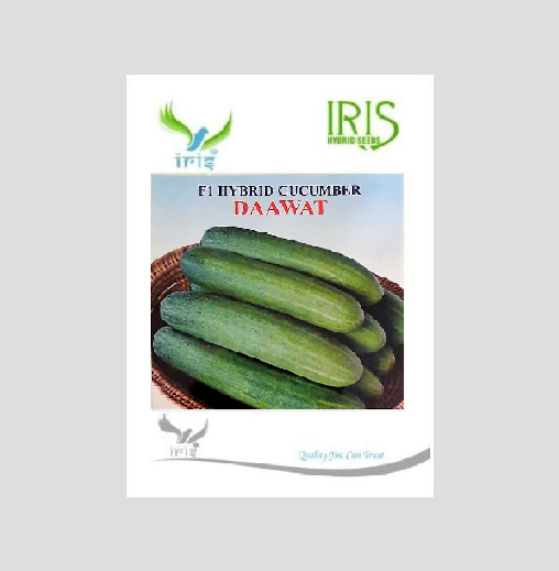 Iris Dawat F1 Hybrid Cucumber Seeds