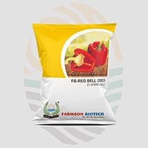 FB-Red Bell (2022) F1 Hybrid Capsicum Seeds