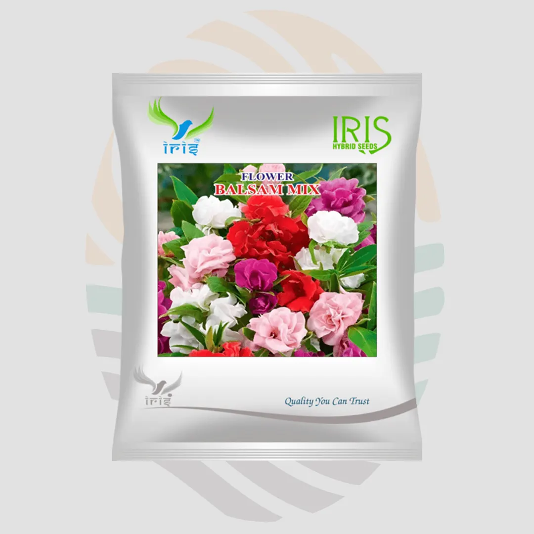 Iris OP Imported Balsam Mix Seeds