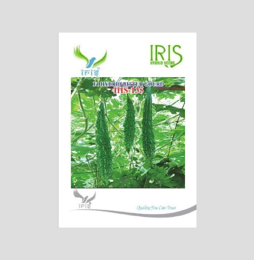 Iris F1 Hybrid Bitter Gourd IHS-135 Seeds