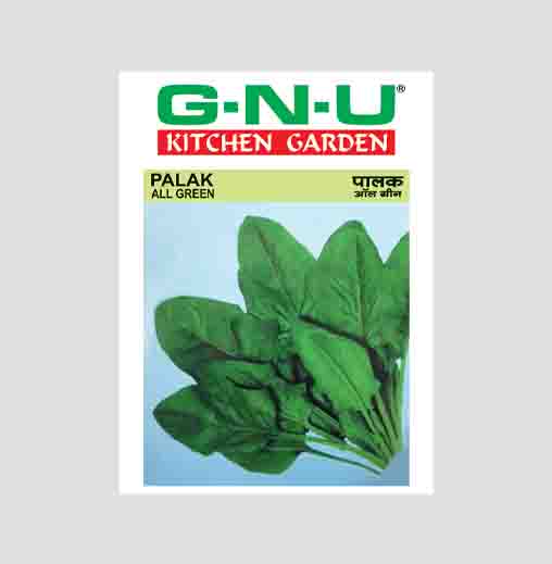 All Green Palak (Spinach) Seeds