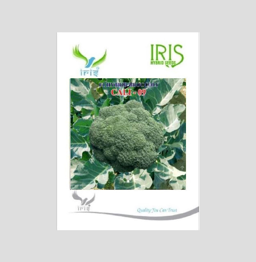 Iris Cali-09 F1 Hybrid Broccoli Seeds
