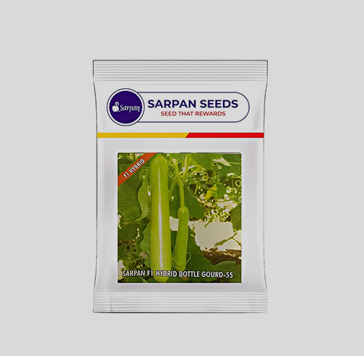 Sarpan Bottle gourd -55 Seeds