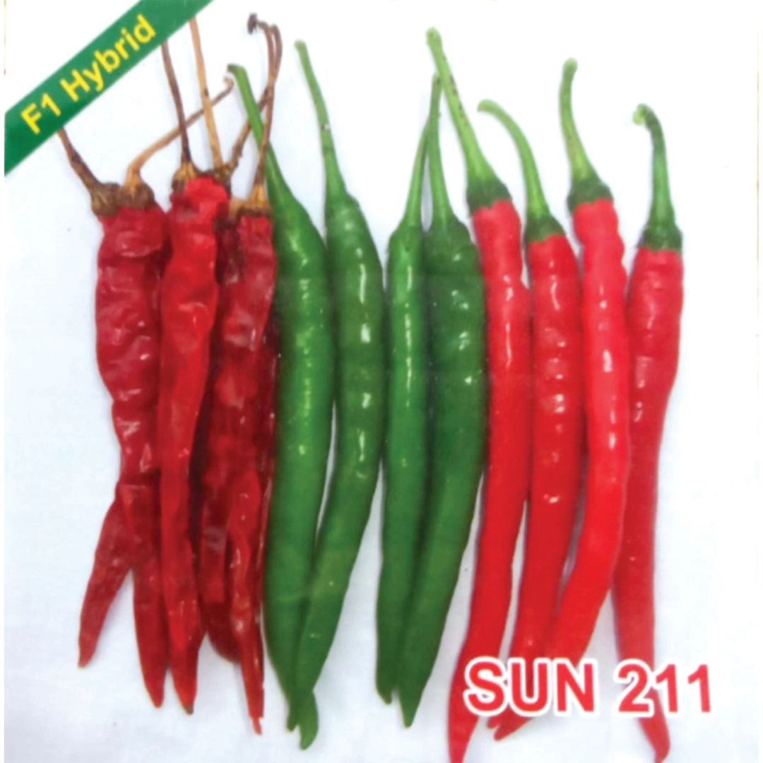 SUN 211 F1 Hybrid Chilli Seeds