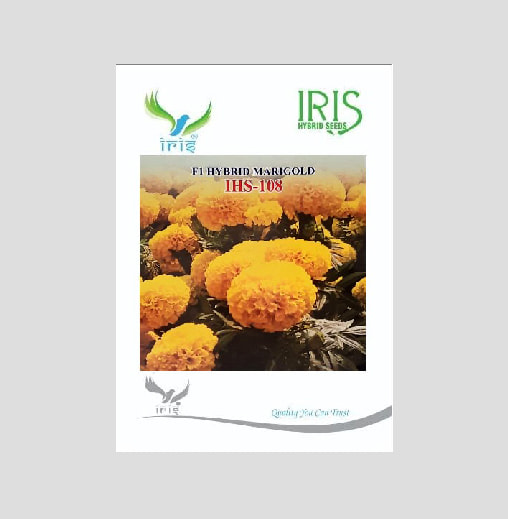 Iris IHS-108 F1 Hybrid Yellow Marigold Seeds