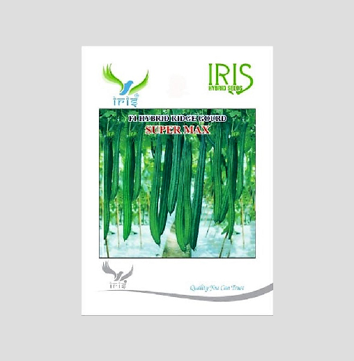 Iris Hybrid Vegetable Seeds F1 Hybrid Ridge Gourd Super Max