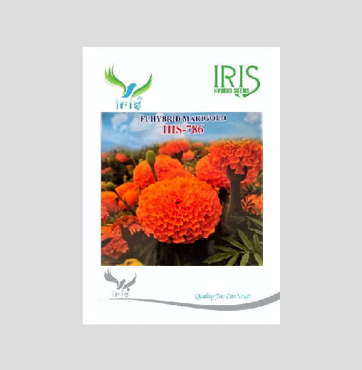 Iris IHS-786 F1 Hybrid Orange Marigold Seeds