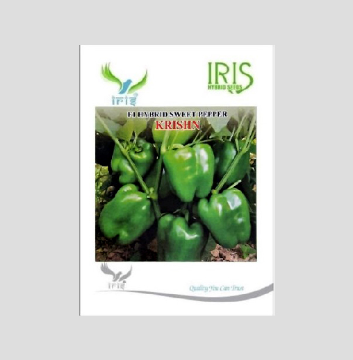 Iris  F1 Hybrid Krishn Green Capsicum Seeds