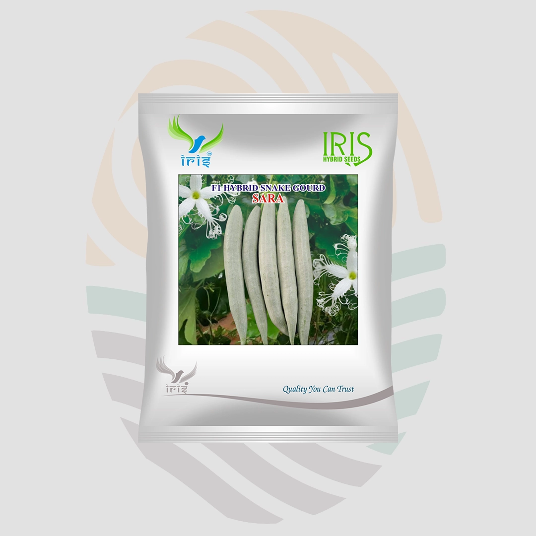 Iris Sara F1 Hybrid Snake Gourd Seeds
