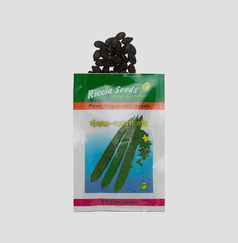 Ridge Gourd - Jaipuri Long Seeds