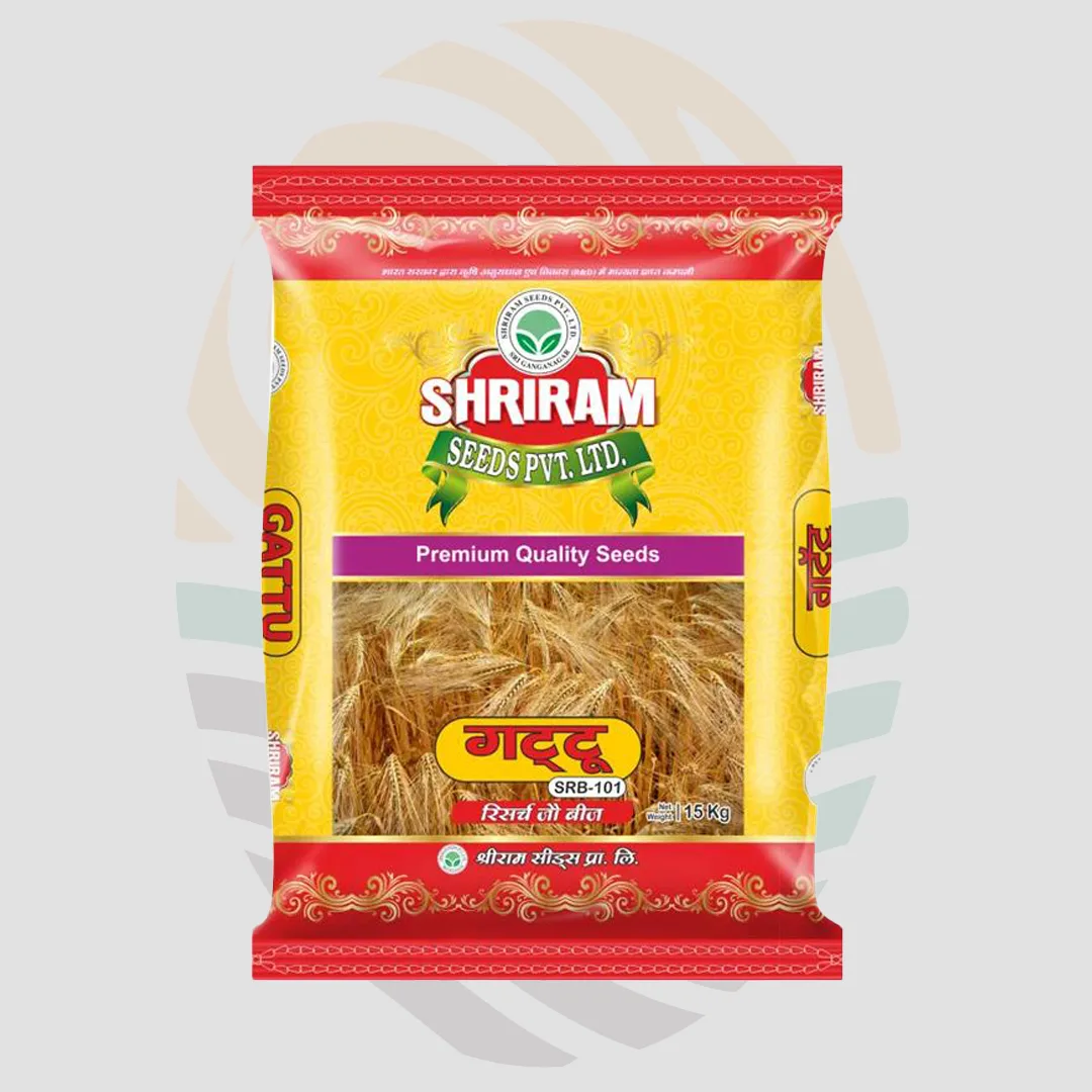 Gattu (SRB-101)  Barley Seeds