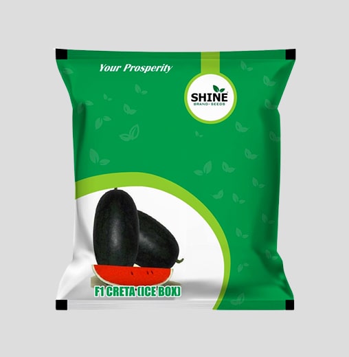 Creta Ice Box Watermelon Seeds