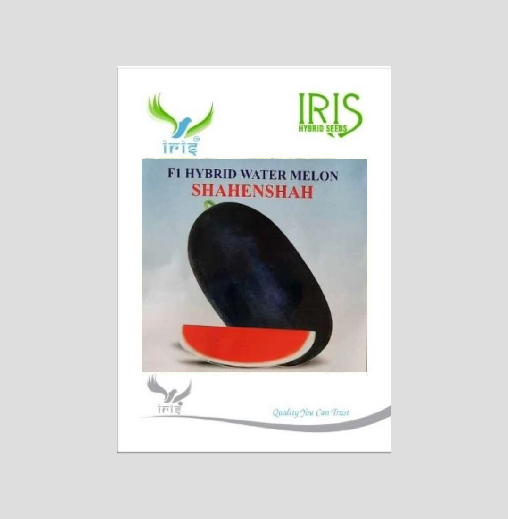 Iris Hybrid Fruit Seeds F1 Hybrid Watermelon Shahenshah