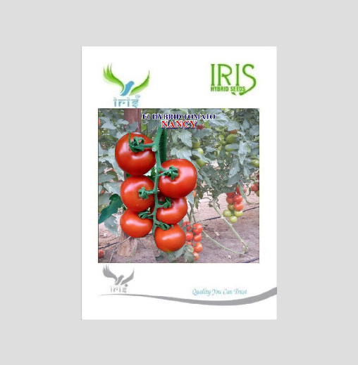 Iris Nancy F1 Hybrid Tomato Seeds