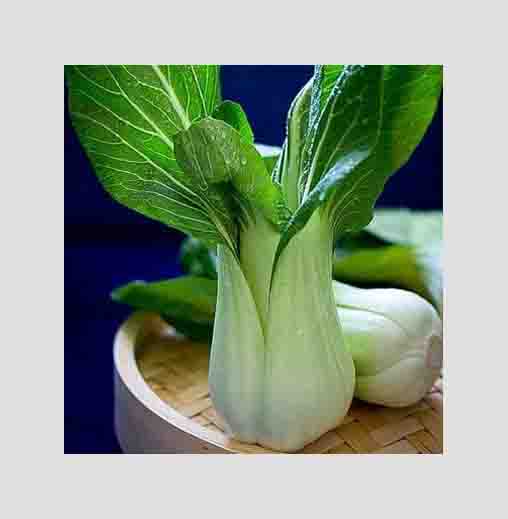 Radha Krishna Pakchoi  Seeds