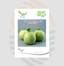 Iris F1 Hybrid  Squash Round  Supremo Seeds