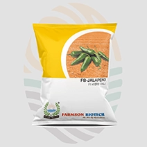 FB-Jalapeno F1 Hybrid Chilli Seeds