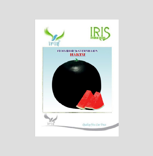 Iris Hybrid Fruit Seeds F1 Hybrid Watermelon Hakim - Sugar Baby Type