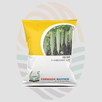 FB-Tapi F1 Hybrid Snake Gourd Seeds